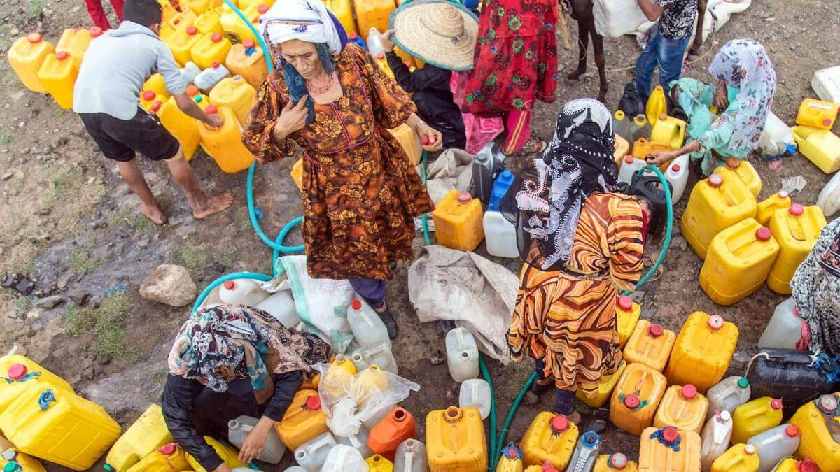 Entre climat et densité, les villes de plus en plus menacées par les chaleurs extrêmes