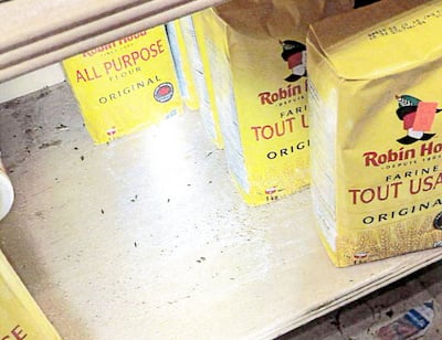 Nombreux excrements de souris autour de sax de farin。