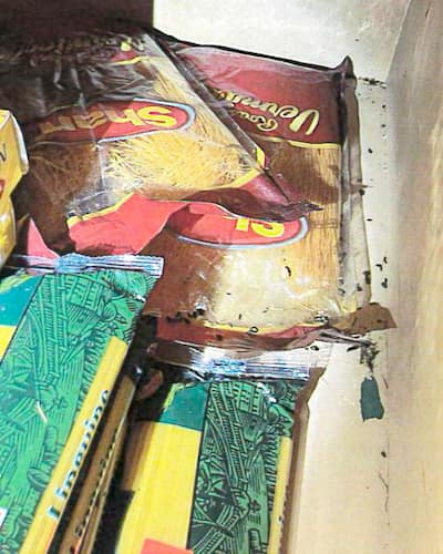 モントリオール モントリオール