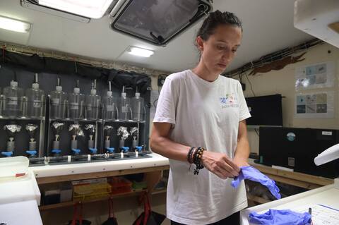 Strange viruses, including herpes, discovered on the surface of oceans and seas