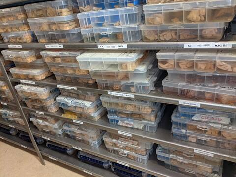 The sample must be taken within a maximum of 24 hours following the death.