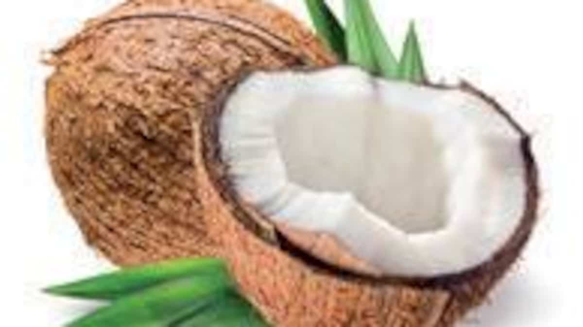 Colombie: 20 000 noix de coco remplies de cocaïne liquide