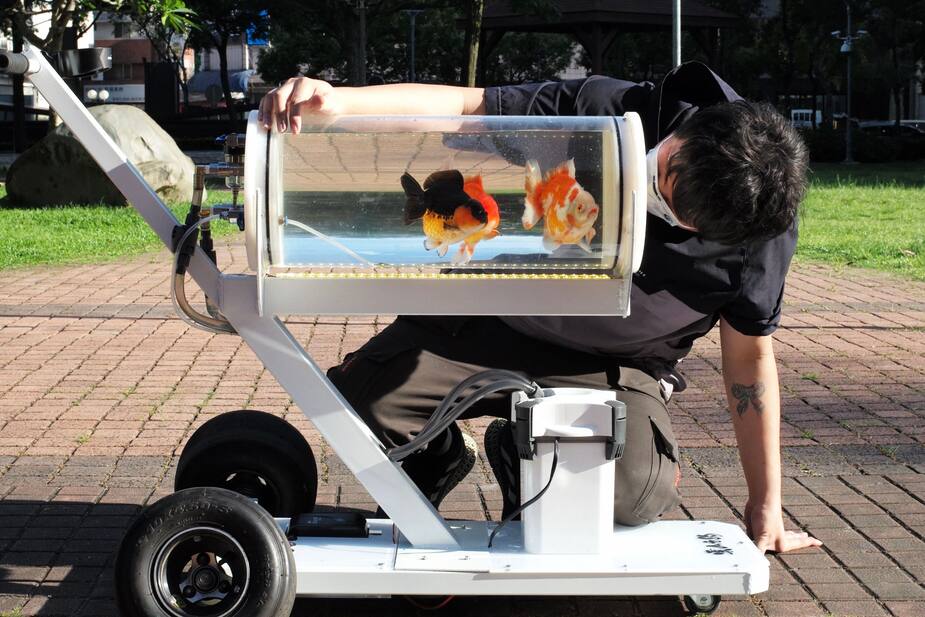 Image principale de l'article Il invente une poussette pour ses poissons