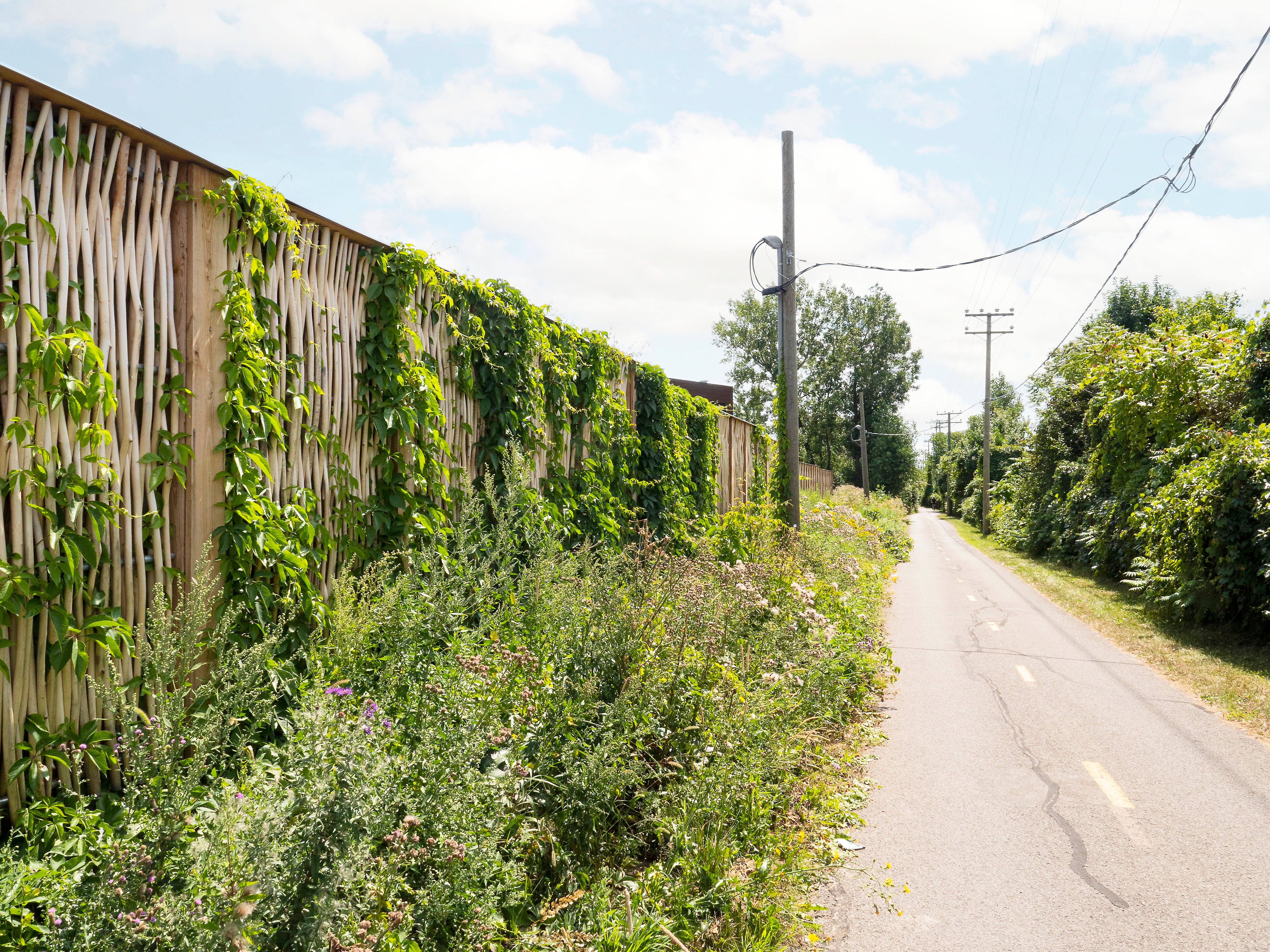 Mur antibruit installé à Laval et fabriqué avec des tiges de saule tressées de Ramo.