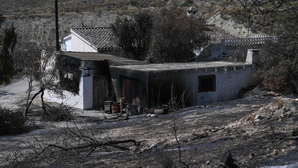 Deadly fire in the south of Spain: a woman succumbs to her injuries, 14 dead in total Deadly fire in the south of Spain: a woman succumbs to her injuries, 14 dead in total