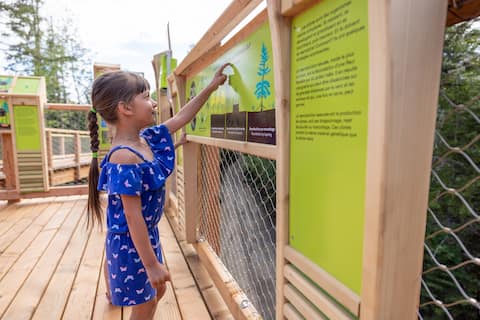 Laurentides: An aerial walkway through the jungle and a 12-story tower to observe nature