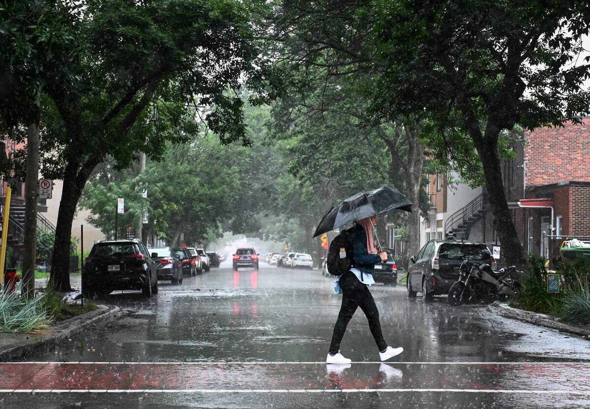 Météo weekend maussade et pluvieux au Québec TVA Nouvelles