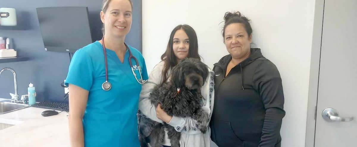 La vie de son chien sauvée par une inconnue