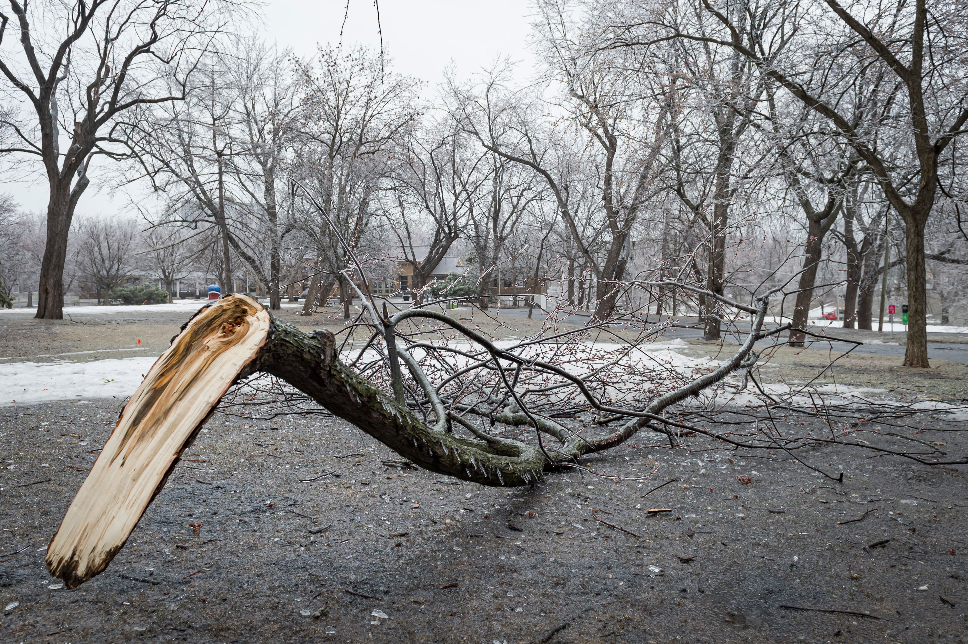 Après la pluie verglaçante tombée sur le sud-ouest du Québec, lundi matin, des vents violents sont maintenant prévus en fin de journée.