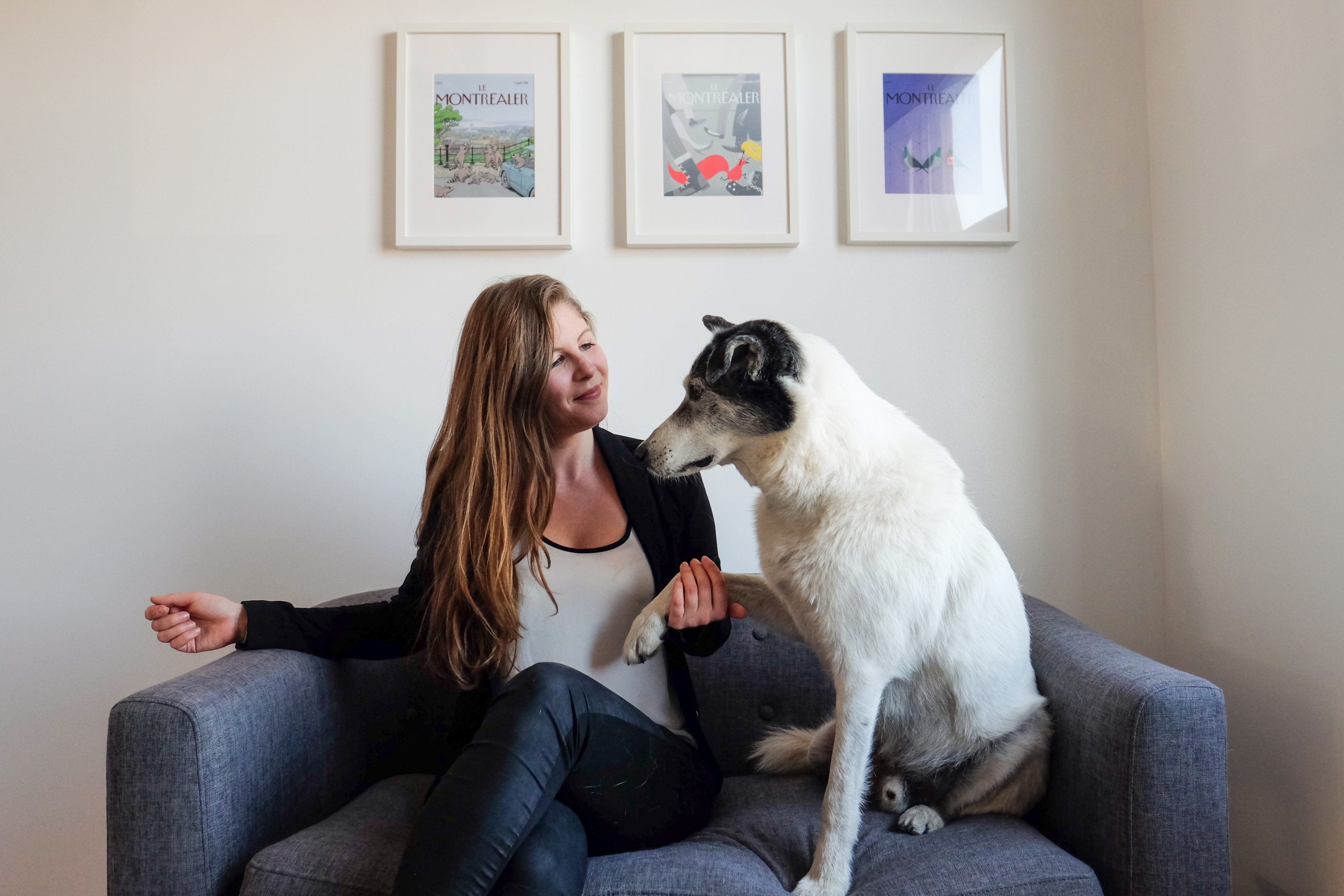 Moins de la moitié des logements offerts sur le marché acceptent les animaux, démontre une recherche réalisée par la firme Léger