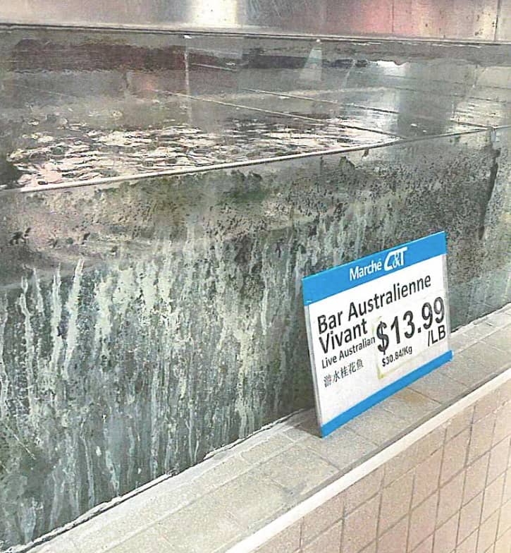 Amendes en série au Marché C&T de Montréal pour sa malpropreté
