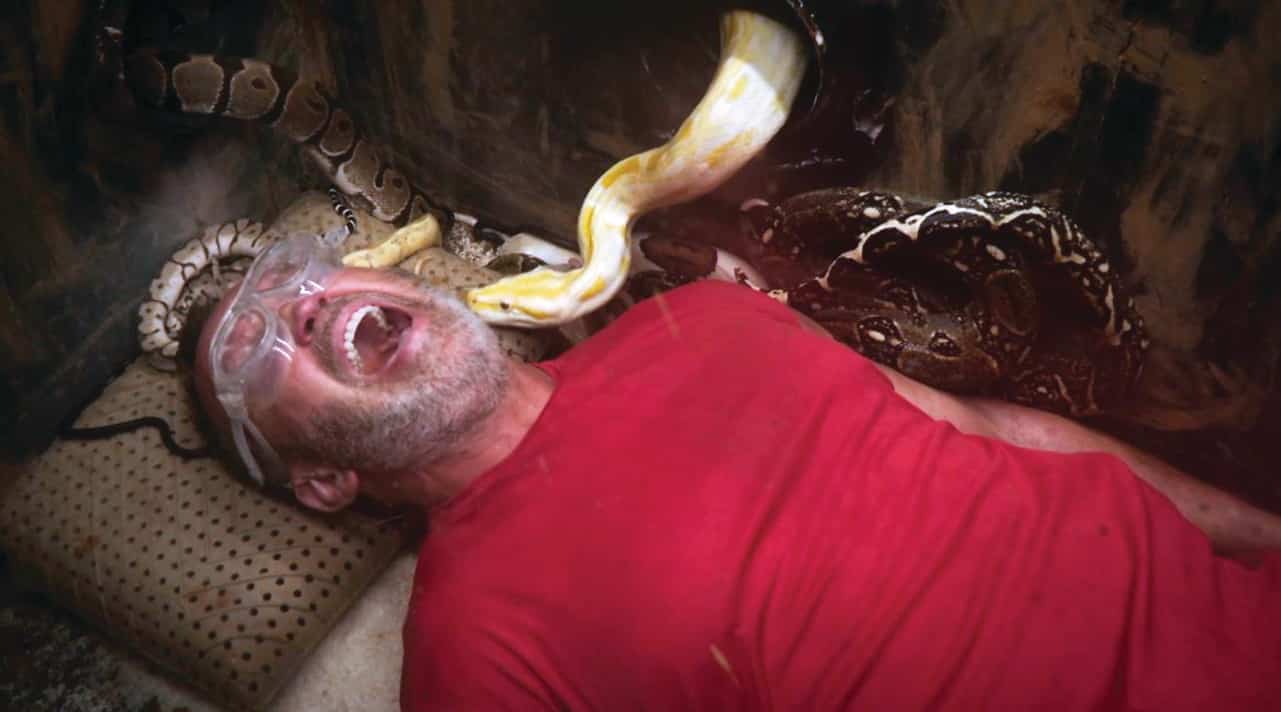 La deuxième saison plus intense que jamais