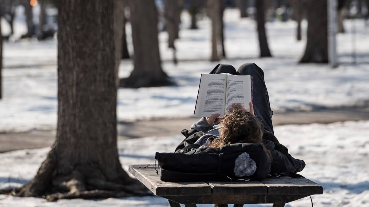 12 degrés dans le sud du Québec