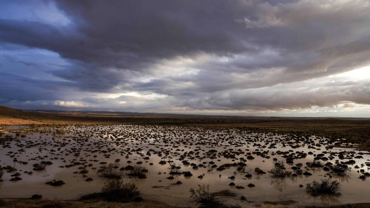 Au moins trois morts dans une attaque au couteau en Israël