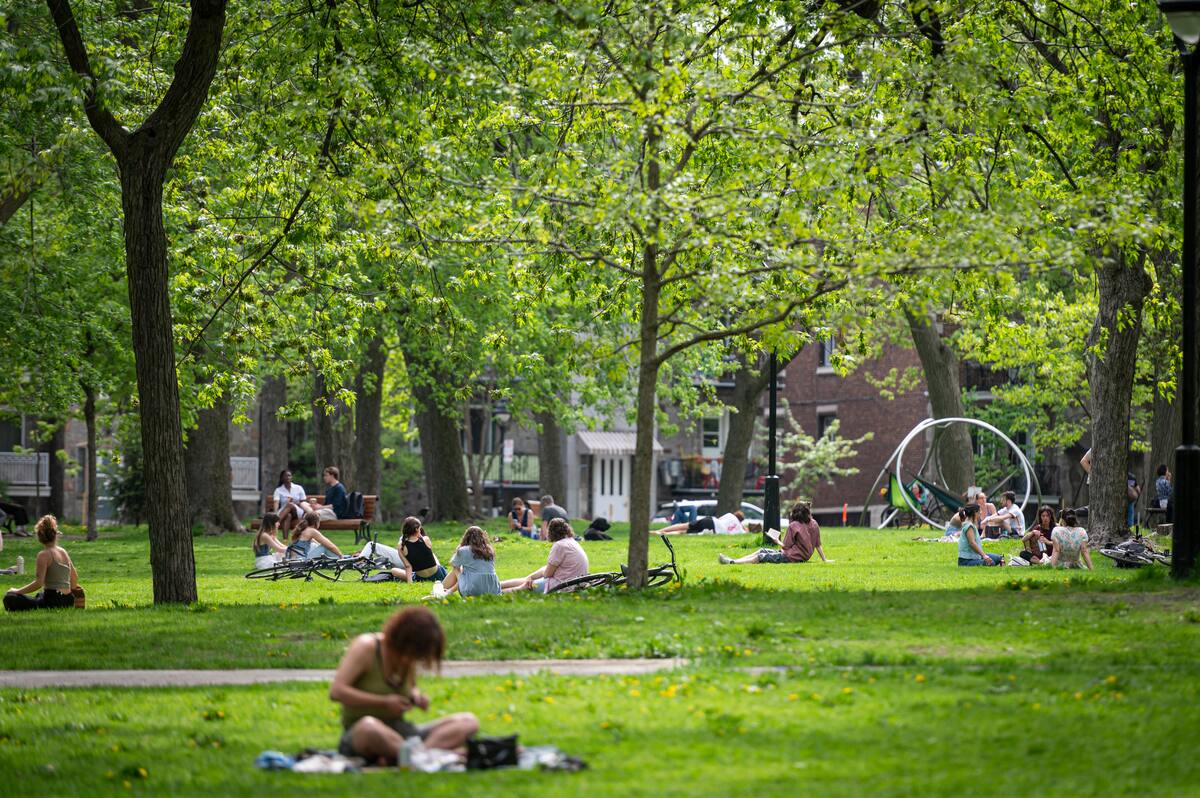 Vers une autre vague de chaleur Le Journal de Québec