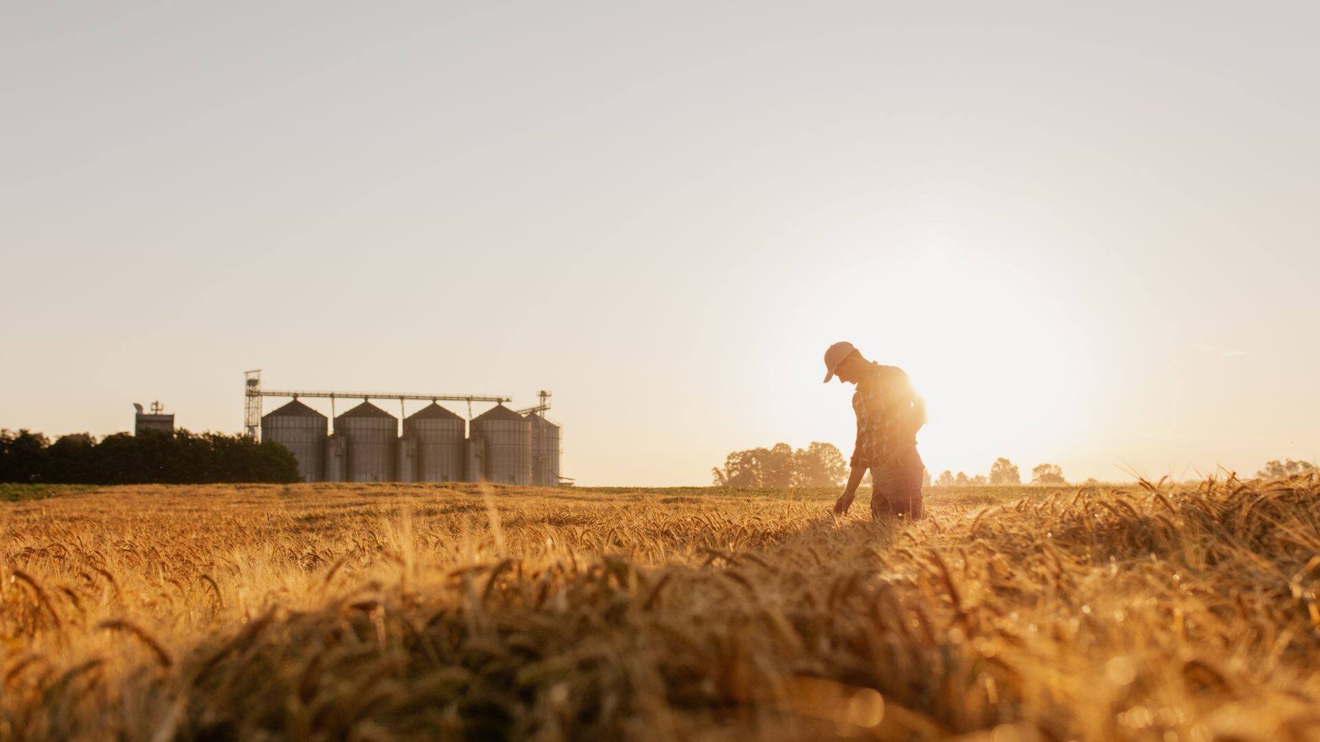Futur de l'agriculture : partez à leur découverte