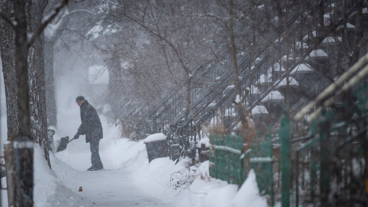 Tempête hivernale: voici où il a le plus neigé au Québec | TVA Nouvelles