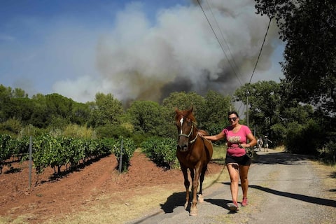 Evacuation on the Cote d'Azur due to a forest fire