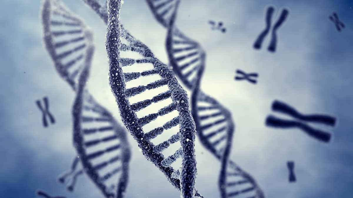 Un test d’ADN réunit trois frères et sœurs après 70 ans