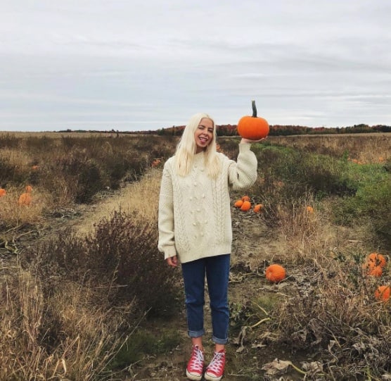 Où aller cueillir vos citrouilles et courges