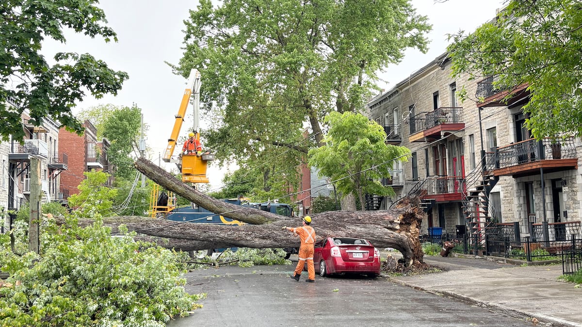 Santé et climat : les risques accrus liés aux vagues de chaleur