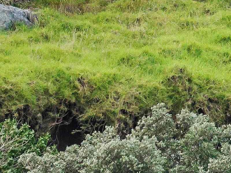 Nouvelle - Zélande : fin des recherches de survivants après un glissement de terrain