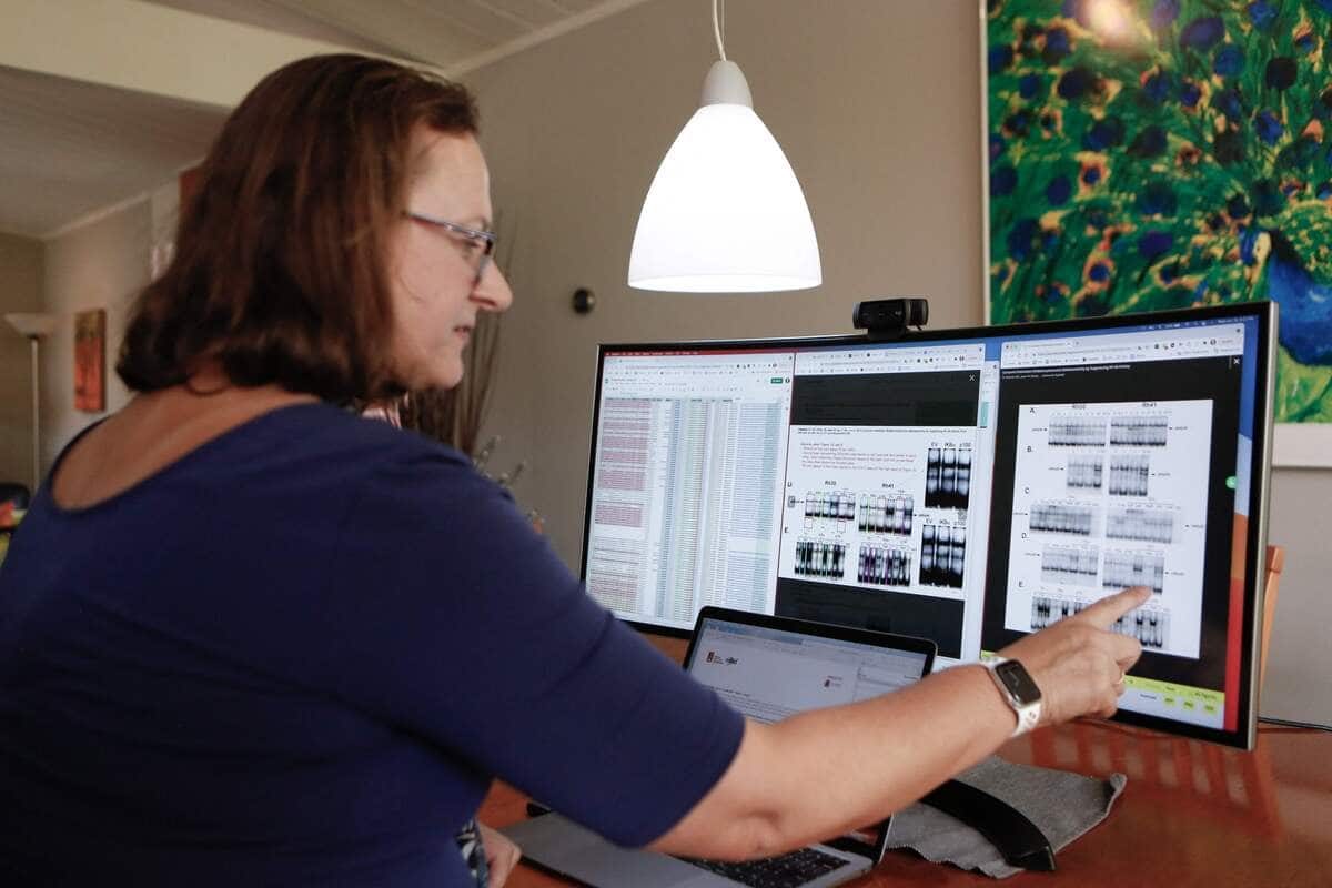 Articles &laquo;bidon&raquo;: l'IA s'immisce dans des publications scientifiques