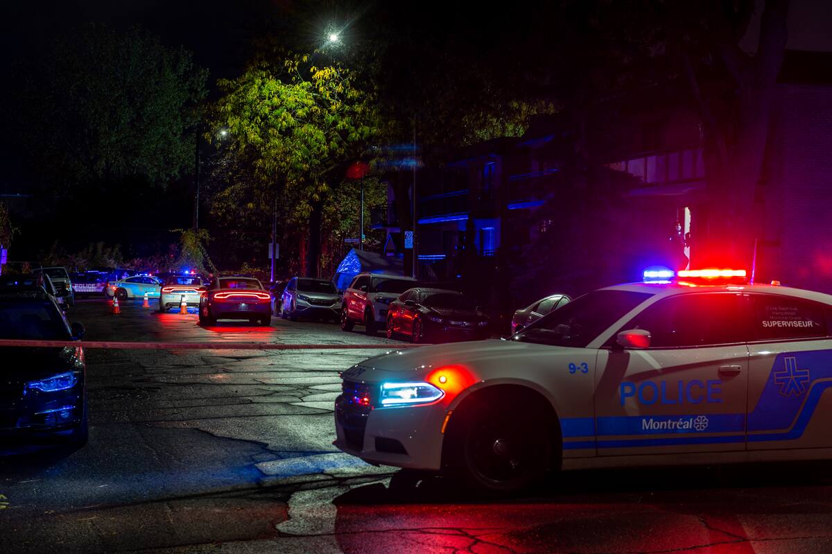 Montr&eacute;al: deux arrestations pour autant de meurtres