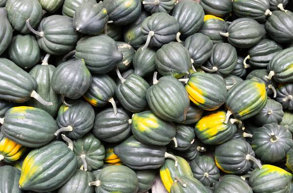 Voici quoi faire en cuisine avec ces 7 variétés de courge | JDQ