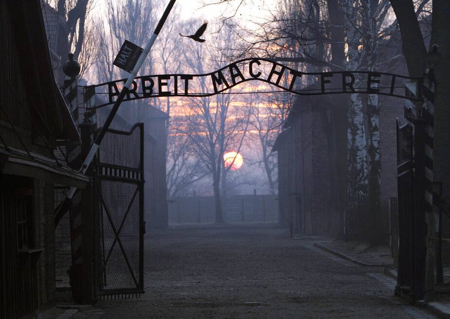 Image principale de l'article Une touriste détenue pour avoir fait un salut nazi
