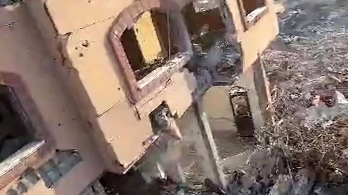 Frappes israéliennes à Gaza après la mort de Yahya Sinouar