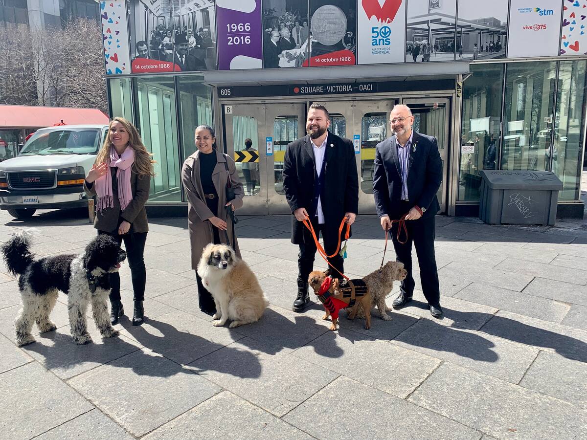 Montr&eacute;al: l&rsquo;opposition officielle souhaite que la Ville permette les chiens dans le m&eacute;tro