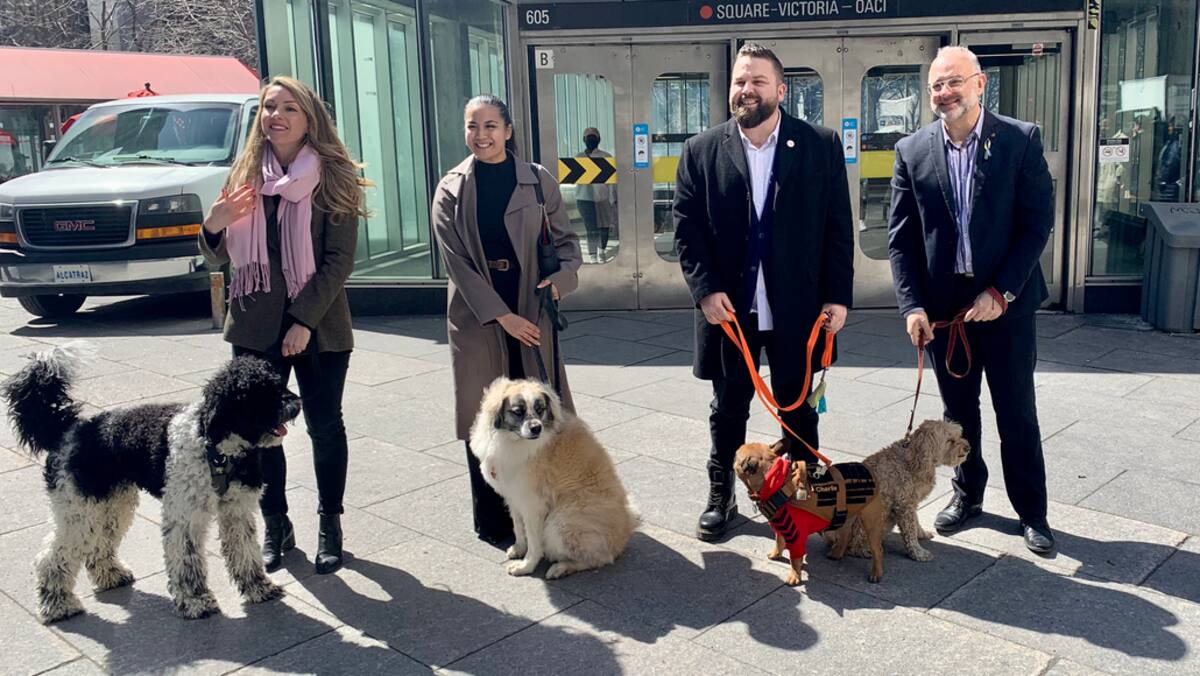 Montréal: l’opposition officielle souhaite que la Ville permette les chiens dans le métro
