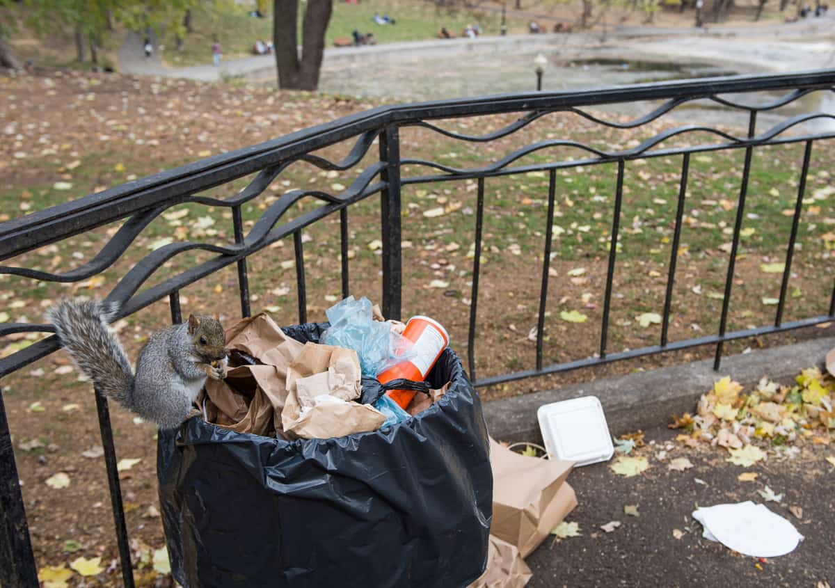 La collecte de déchets à Montréal, un système du «moyenâge» TVA