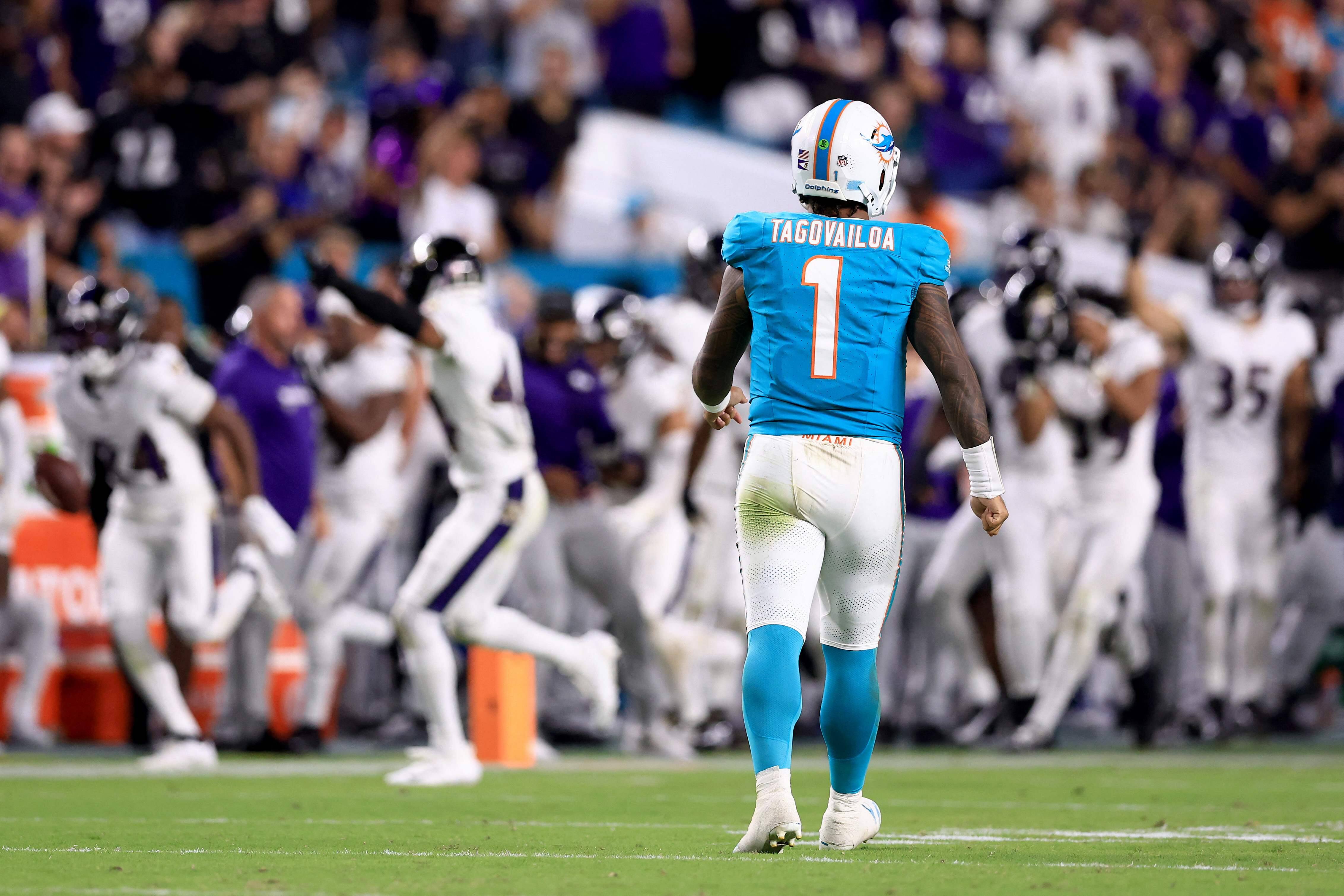 Dolphins NFL: First Coach Fired