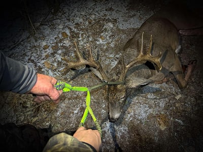 Retrieving such a large deer is no easy task unless you have a carrier that makes the job easier.