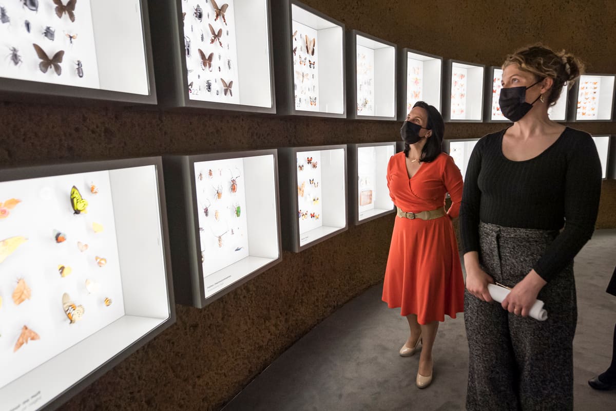 [EN IMAGES] L’Insectarium de Montréal inauguré | JDM