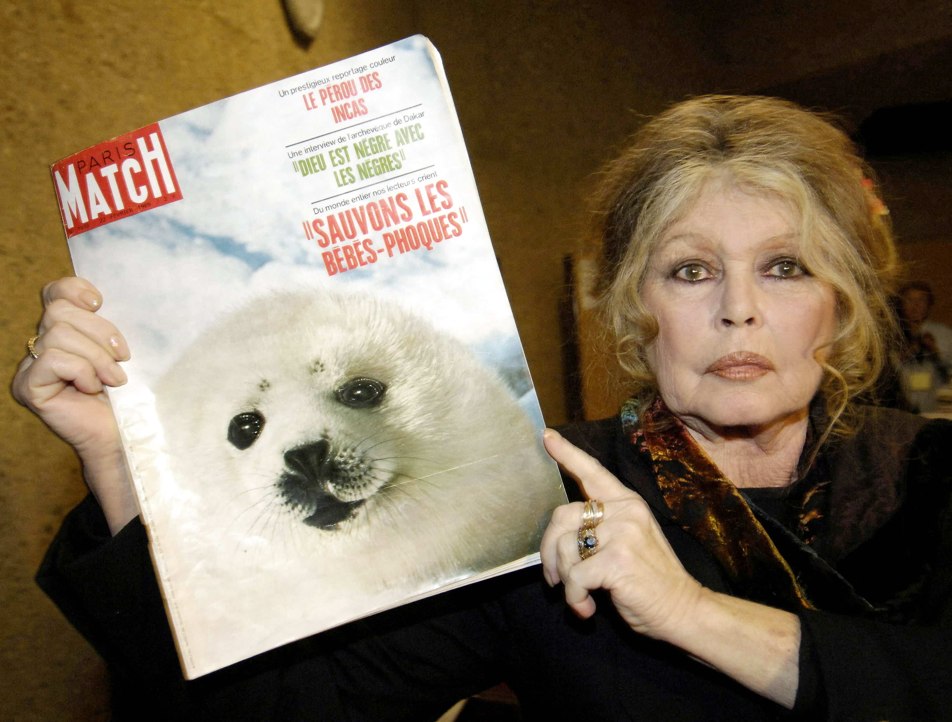 Grande défenseure des animaux, Brigitte Bardot n’a pas hésité à débarquer au Québec, dans les années 1970, pour s’opposer à la chasse aux phoques.