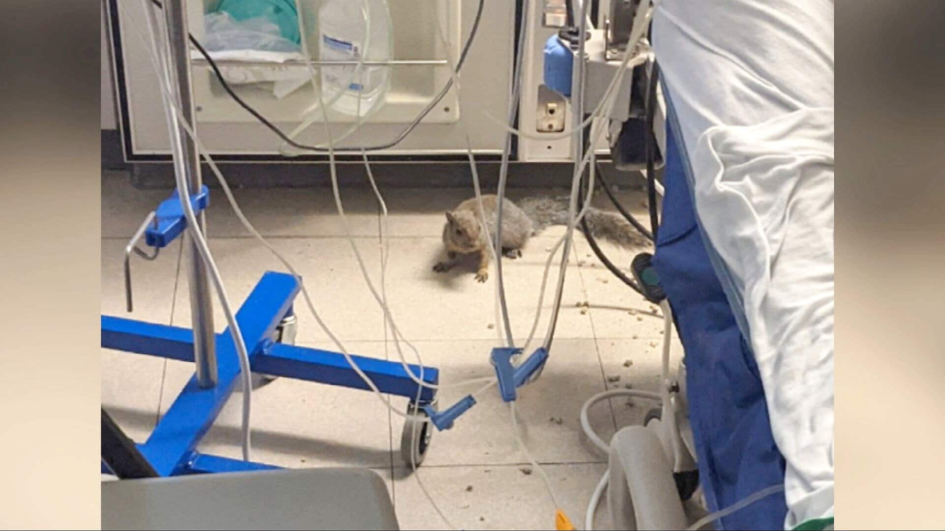 Gen-Hopital-Maisonneuve-Rosemont