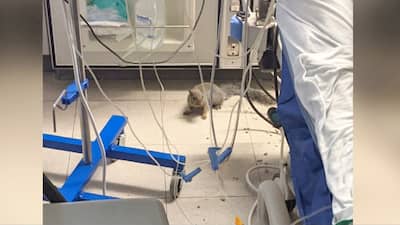 Gen-Hopital-Maisonneuve-Rosemont