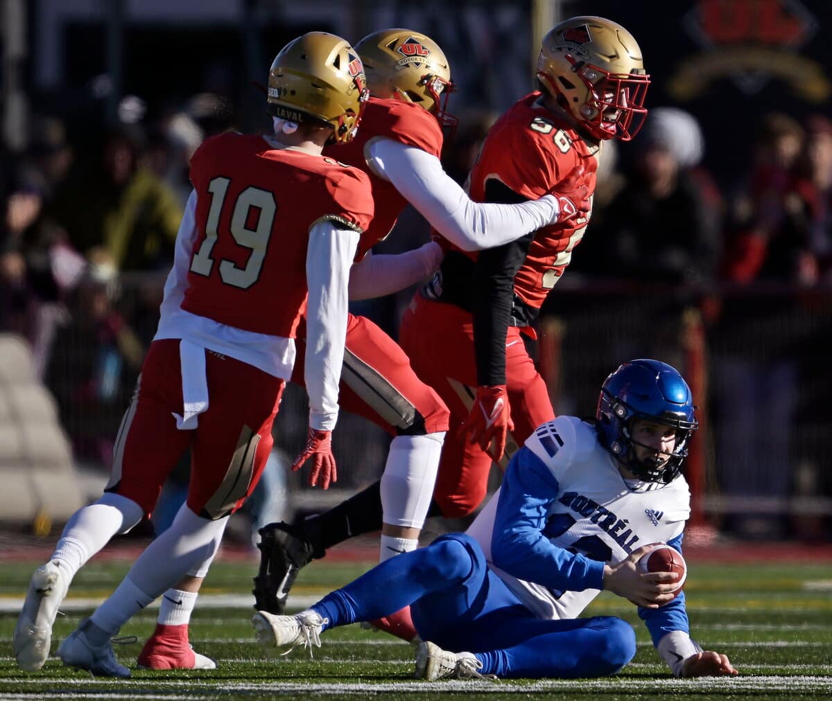 RSEQ, Football Universitaire Québecois | Infos, Stats & Vidéos - TVA Sports