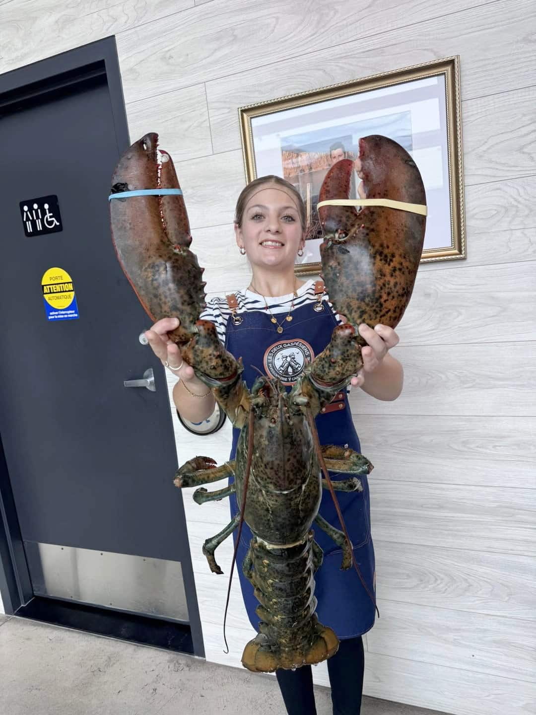 Un homard gigantesque d’une poissonnerie, pouvant nourrir 20 personnes ...