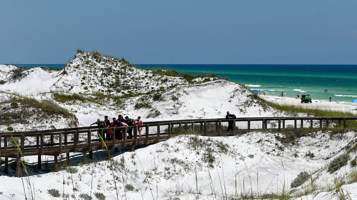 3 personnes blessées dans 2 attaques de requin à 90 minutes d’intervalle