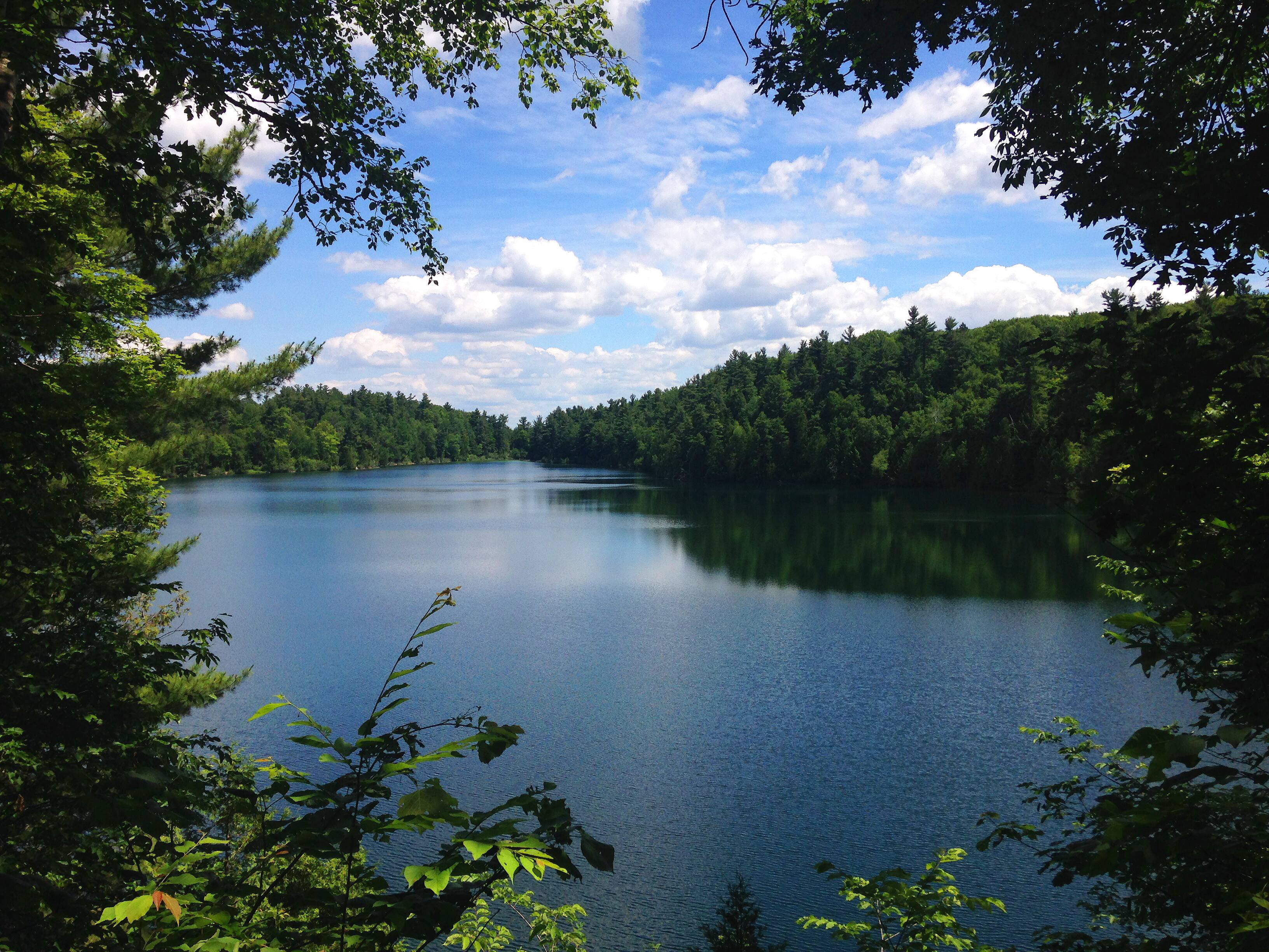 Journ&eacute;e de la Terre: le d&eacute;veloppement durable, ici et maintenant