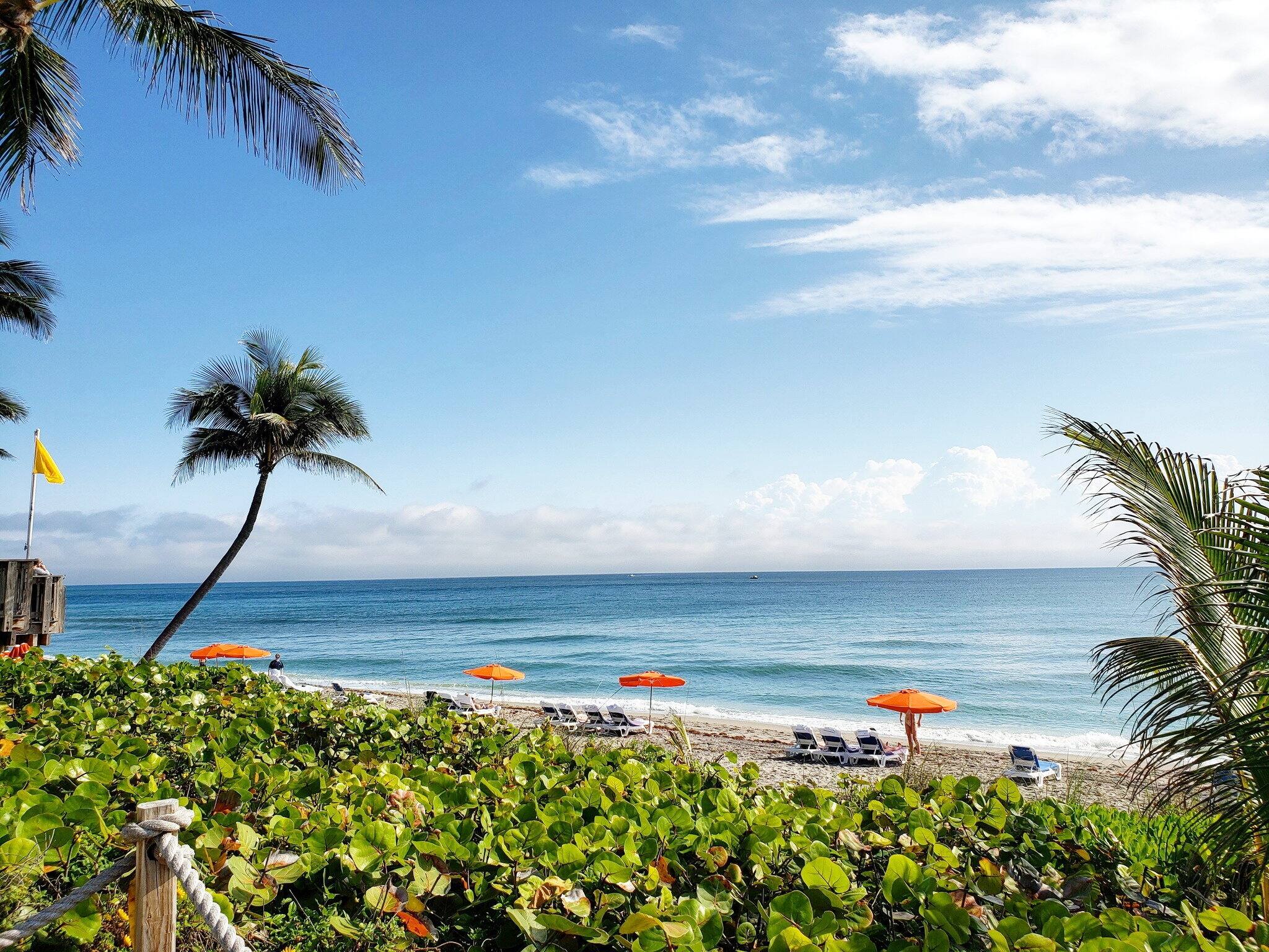 Floride: dans le comt&eacute; de Palm Beach, du neuf pour s&eacute;duire les touristes