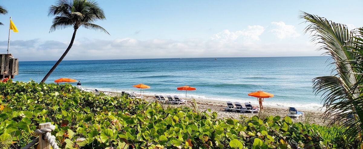 Floride: dans le comté de Palm Beach, du neuf pour séduire les touristes