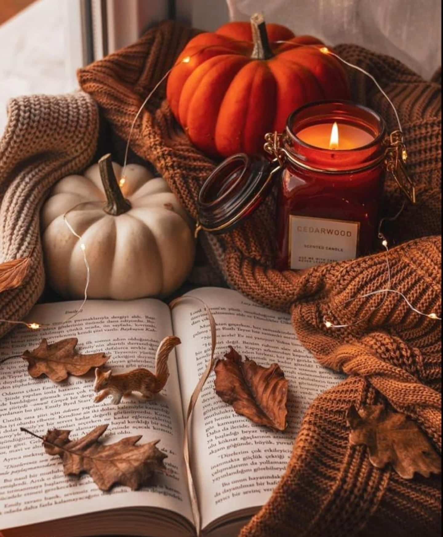 Il amène la gratitude pour presque tous les signes