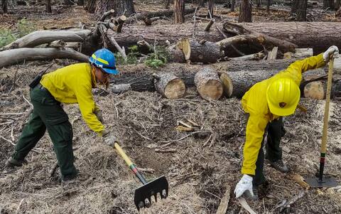 fuego de estados unidos