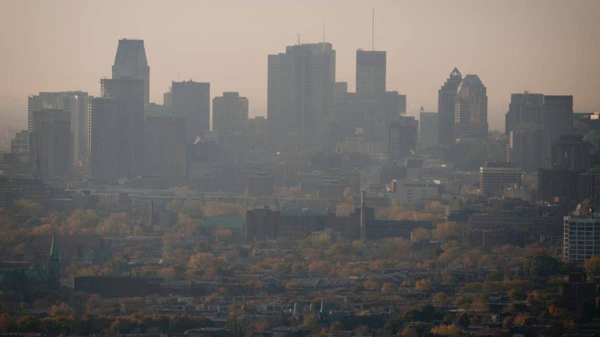 La crise climatique menace la santé: le cri du cœur d’un cardiologue
