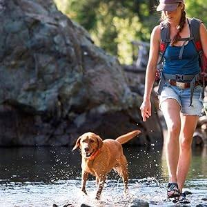 Les maîtres de chien ne jurent que par ce gobelet